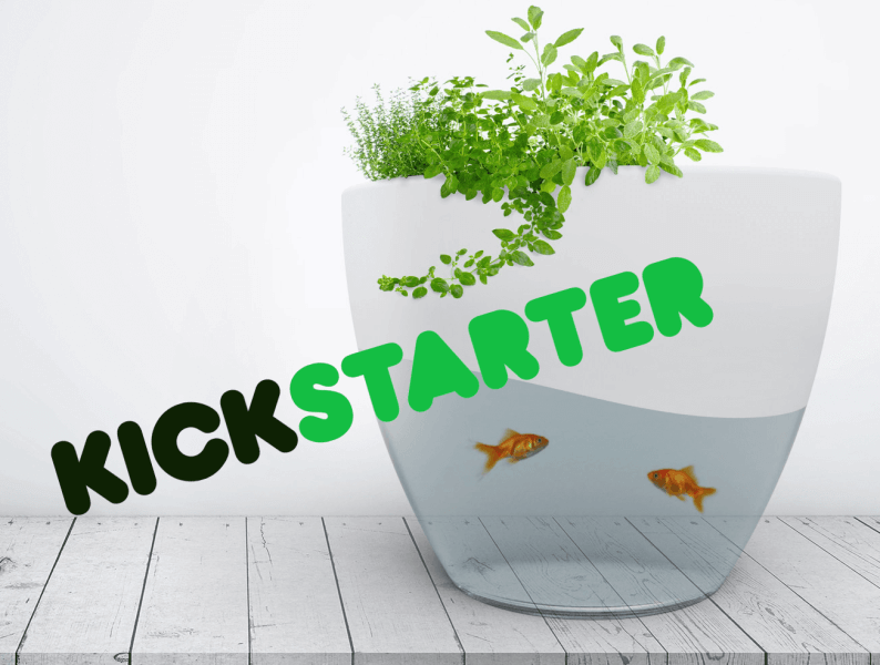 Vegua Aquaponics on Kickstarter
