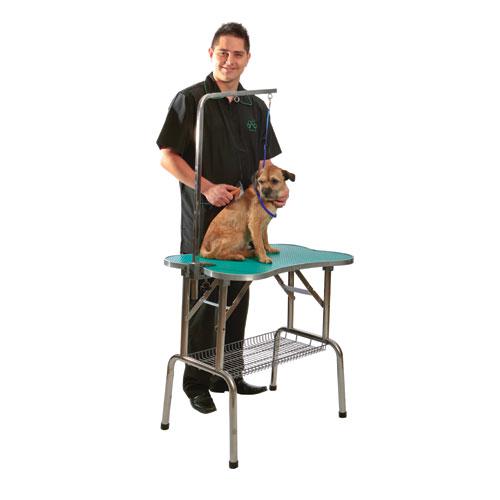 Could you have a Grooming Table at home?