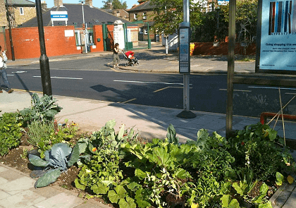 The Edible Bus Stop