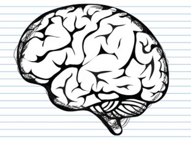brain of entrepreneur