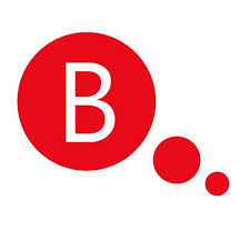 branswer logo