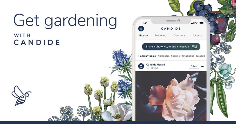 candide gardening