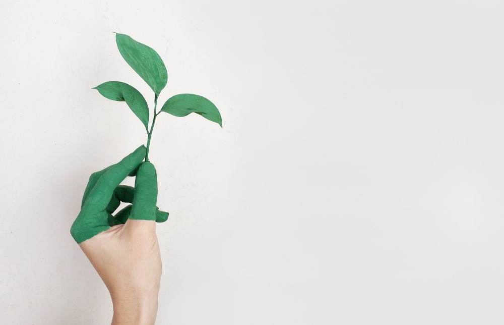 Startup businesses going green